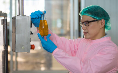 Key Food and Beverage Certifications for Manufacturers in Canada